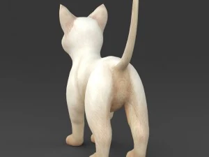game ready white kitten 3D Model
