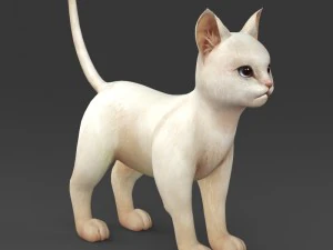 game ready white kitten 3D Model