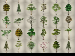game ready tree collection 3D मॉडल