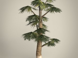 game ready tree collection 3D Модель