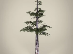game ready tree collection 3D Model