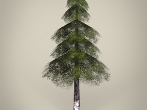 game ready tree collection 3D Модель