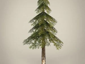 game ready tree collection 3D Model