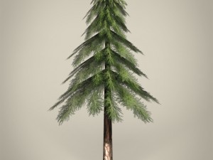 game ready tree collection 3D Модель