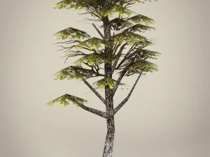game ready tree collection 3D Model