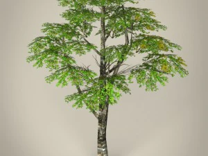 game ready tree collection 3D Model