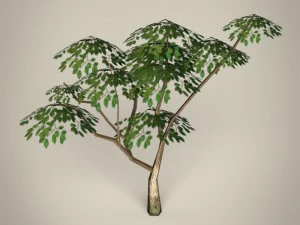 game ready tree collection 3D Model