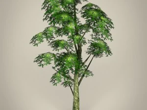 game ready tree collection 3D Model