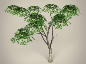 game ready tree collection 3D Модель