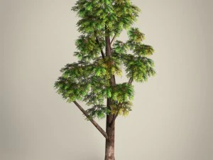 game ready tree collection 3D Model