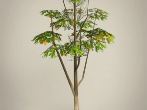 game ready tree collection 3D Model