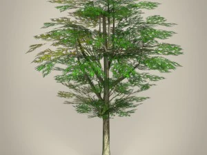 game ready tree collection 3D Model