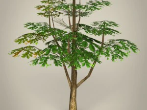 game ready tree collection 3D Model