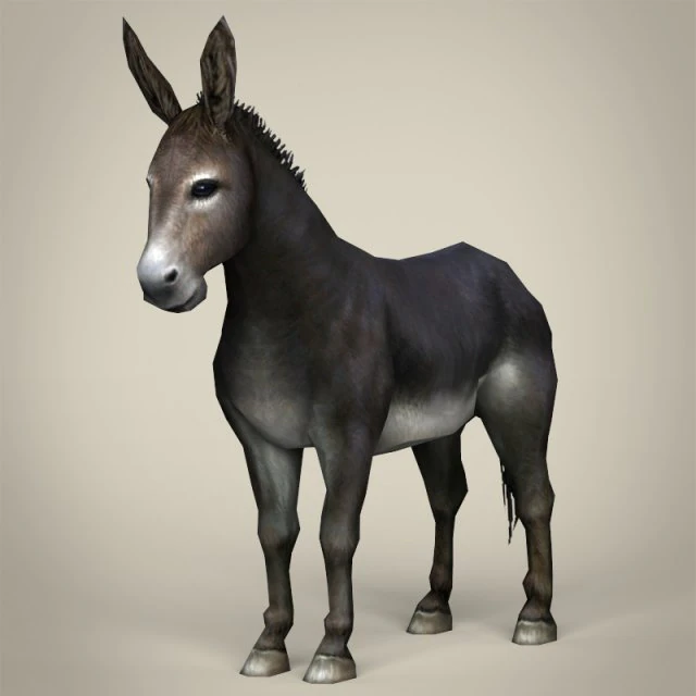 game ready realistic donkey 3D Model .c4d .max .obj .3ds .fbx .stl .blend 