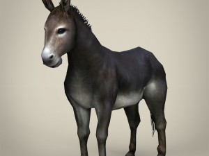game ready realistic donkey 3D Models