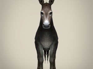 game ready realistic donkey 3D मॉडल