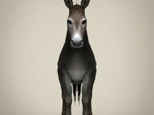game ready realistic donkey 3D Model