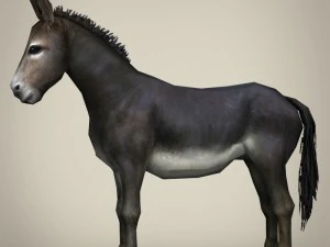 game ready realistic donkey 3D Model