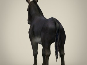game ready realistic donkey 3D मॉडल