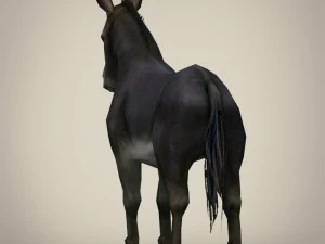 game ready realistic donkey 3D Model