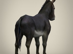 game ready realistic donkey 3D मॉडल