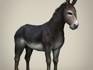 game ready realistic donkey 3D मॉडल