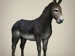 game ready realistic donkey 3D Model