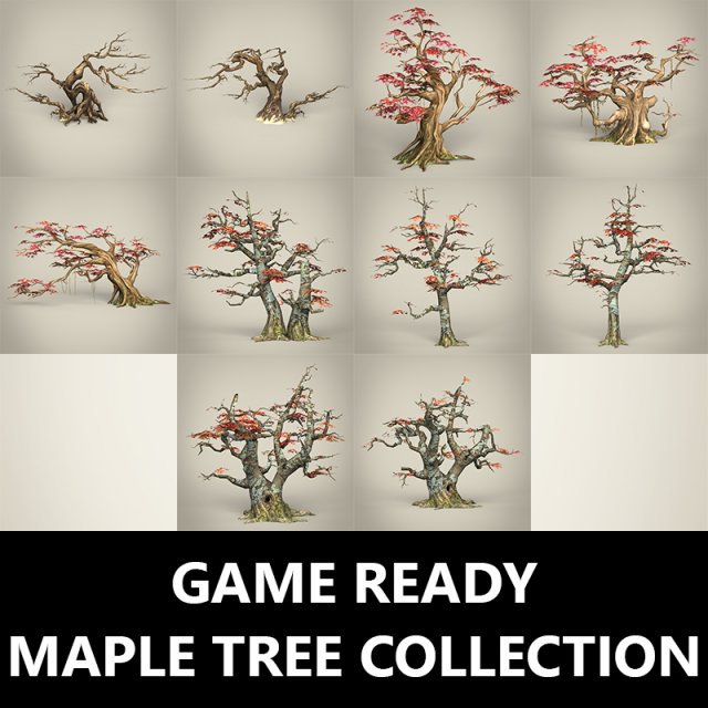 game ready maple tree collection 3D Model .c4d .max .obj .3ds .fbx .stl .blend 
