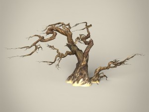 game ready maple tree collection 3D Model