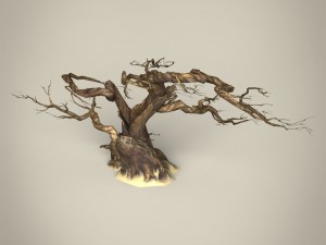 game ready maple tree collection 3D Model