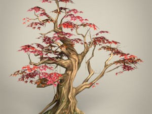 game ready maple tree collection 3D Model