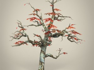game ready maple tree collection 3D Model