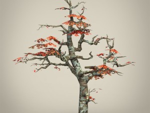 game ready maple tree collection 3D Model
