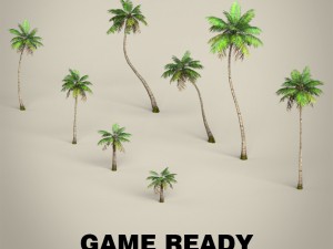 game ready plam tree collection 3D 모델