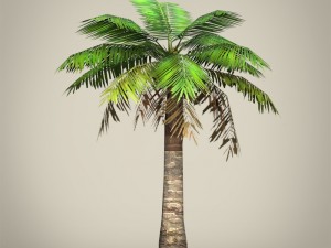 game ready plam tree collection 3Dモデル