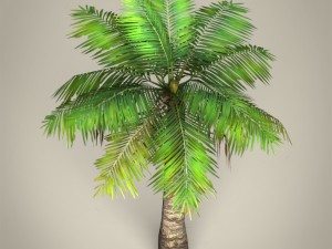 game ready plam tree collection 3Dモデル