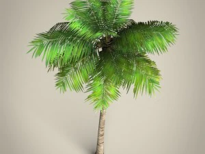 game ready plam tree collection 3D Model
