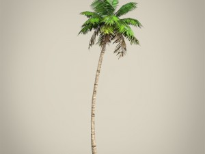 game ready plam tree collection 3Dモデル