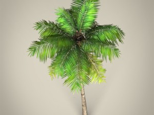 game ready plam tree collection 3Dモデル