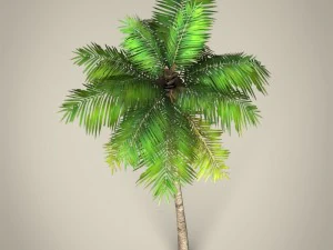 game ready plam tree collection 3D Model