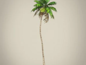 game ready plam tree collection 3D Model