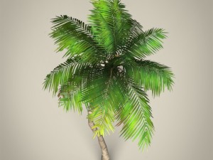game ready plam tree collection 3Dモデル