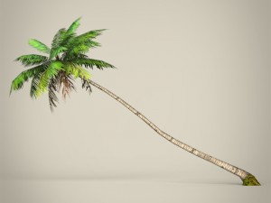 game ready plam tree collection 3Dモデル