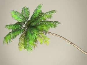 game ready plam tree collection 3D Model