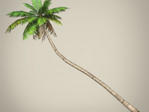 game ready plam tree collection 3Dモデル