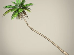 game ready plam tree collection 3D Model