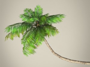 game ready plam tree collection 3Dモデル