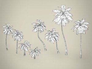 game ready plam tree collection 3Dモデル
