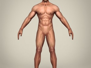 game ready realistic man 3D Models
