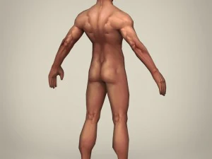 uomo realistico pronto per il gioco Modello 3D